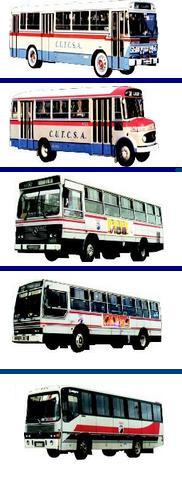 EVOLUCION OMNIBUS MONTEVIDEO