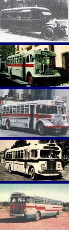 OMNIBUS MONTEVIDEO EVOLUCION