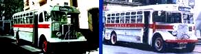 OMNIBUS MONTEVIDEO CACHILOS