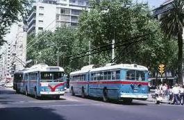 OMNIBUS MONTEVIDEO TROLLEY - TROLLEYBUS