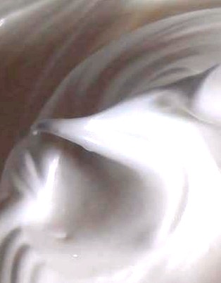 MERENGUE - PUNTO NIEVE