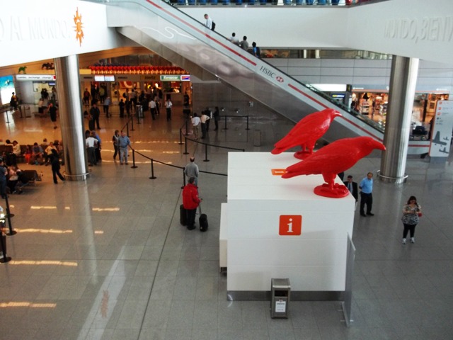 AEROPUERTO DE CARRASCO, EXPOSICION ARTISTA PLASTICO