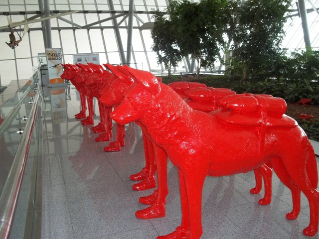 EXPOSICIONEN EL AEROPUERTO DE CARRASCO