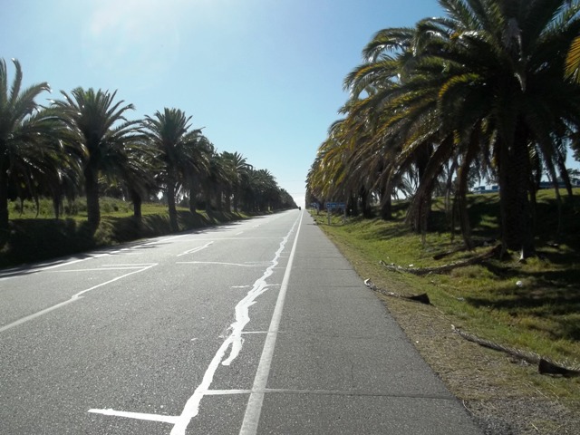 HERMOSA RUTA A LA ENTRADA DE COLONIA CON PALMERAS Y UN DIA EXCELENTE