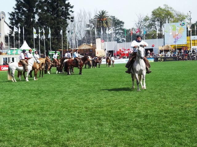 EXPO PRADO DEMOSTRACIONES Y TRBAJO