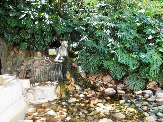 FUENTE DEL PUMA