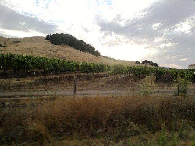 HACER RUTA CON ESTOS PAISAJES ES UN PLACER