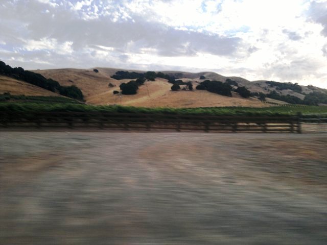 DISFRUTANDO DE LA NATURALEZA