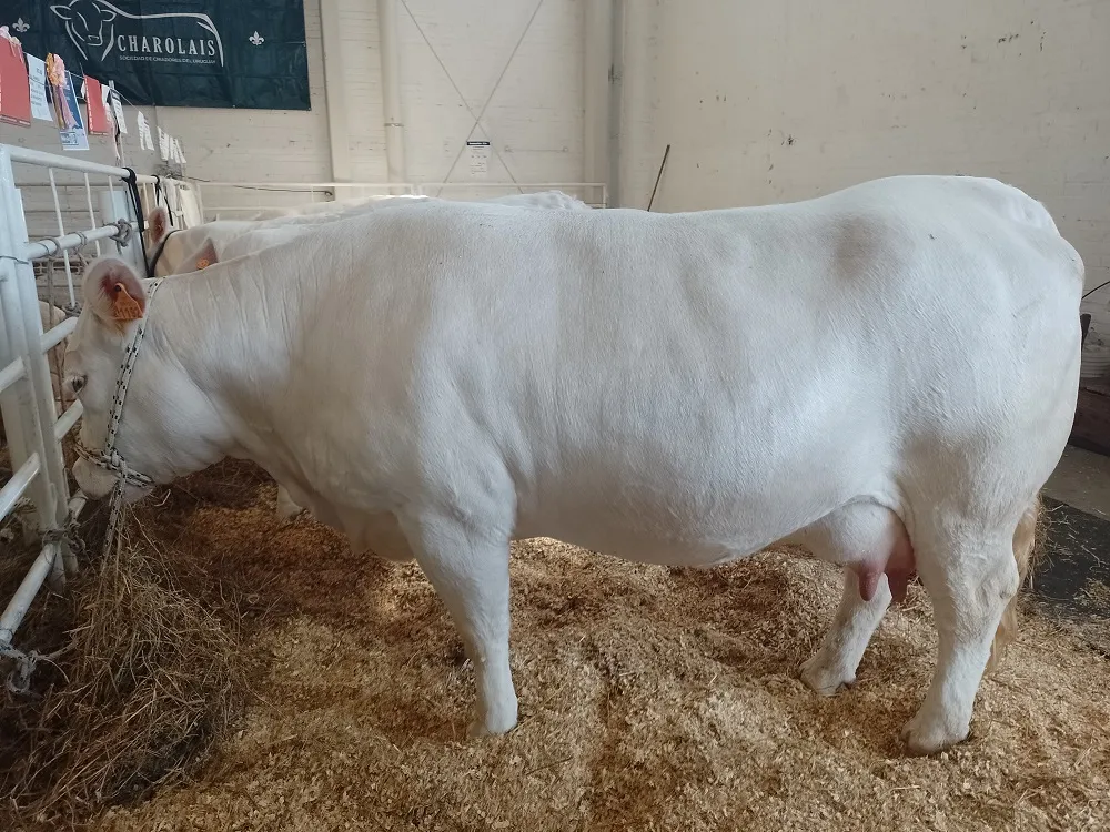 Expo Prado 2026: Fratti puso el foco en el agua, la producción y el futuro del campo uruguayo