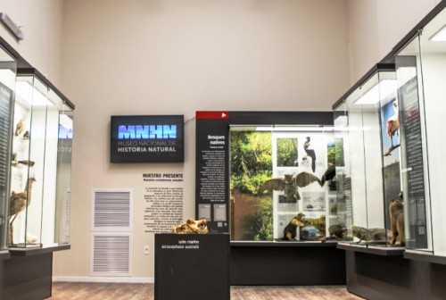 MUSEO DE HISTORIA NATURAL