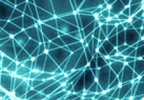 CÓMO PODEMOS SOBREVIVIR A LA TRANSFORMACIÓN DIGITAL