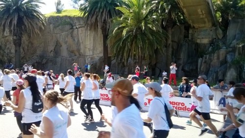 La Fundación Pérez Scremini realilzó una maratón a beneficio de la cura del cáncer infantil.