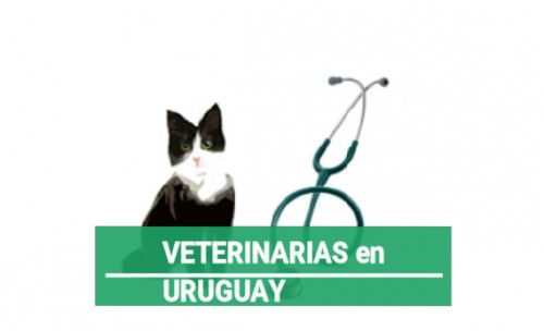 Veterinarias en Uruguay