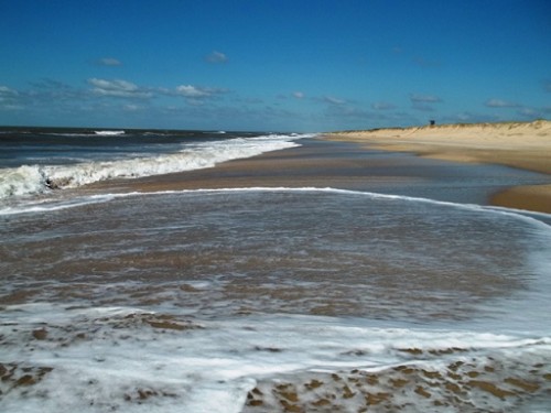 En el fin de semana los uruguayos participaron de una nueva jornada anual de limpieza de costas