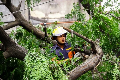 LA DIRECCIÓN DE BOMBEROS TUVO MÁS DE 300 LLAMADAS EN LAS ÚLTIMAS HORAS POR DISTINTOS HECHOS VINCULADOS AL CLIMA