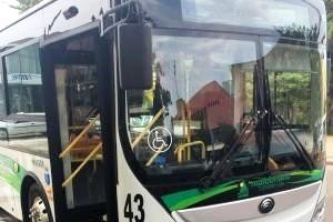 Se cambiarán los trayectos de líneas de transporte debido a la Corrida de San Fernando