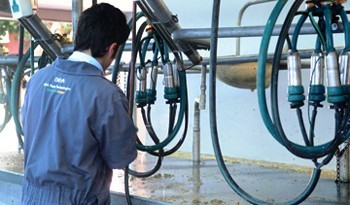 Exportación de lácteos facturó el año pasado 16 % más que en 2017