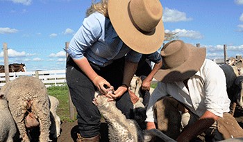 Derechos de las mujeres rurales