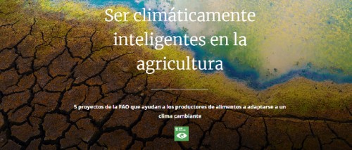 Ser climáticamente inteligentes en la agricultura