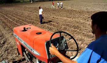 Colonización convoca a interesados en arrendar 1.416 hectáreas de producción ganadera en Florida