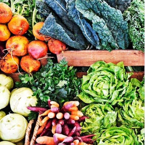 ¿Cuánto sabes sobre alimentación saludable?
