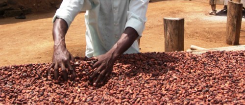 De una costa a otra: Costa Rica y Côte d’Ivoire, unidos por la reforestación