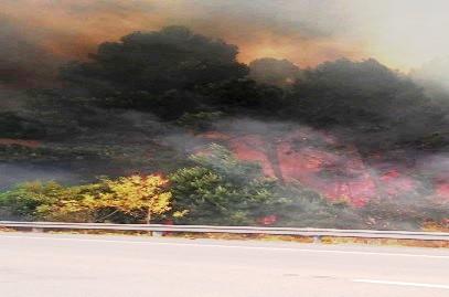 Bomberos trabaja en Incendio en Rocha