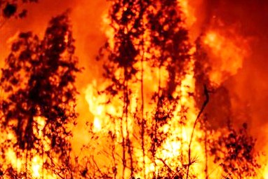 Incendio: Se está evacuando el balneario La Esmeralda