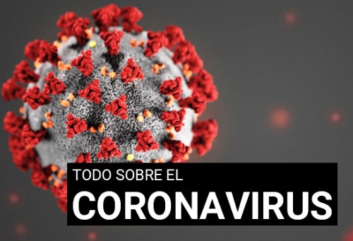 Preguntas y respuestas sobre la enfermedad por coronavirus 
