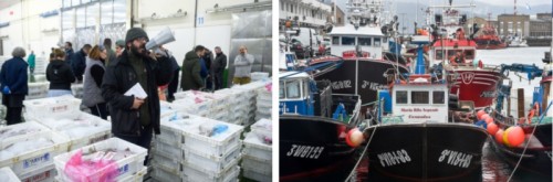 Una nueva forma de hacer las cosas en el mayor puerto pesquero de Europa