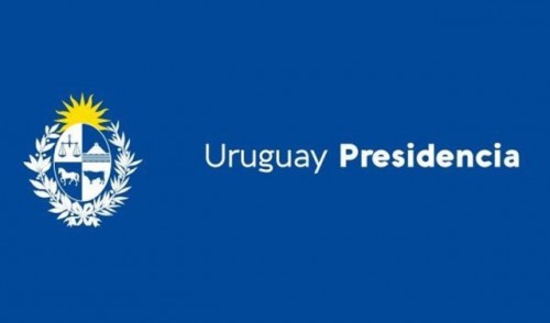 Baja prevalencia de COVID-19 en la población permite continuar hacia establecimiento