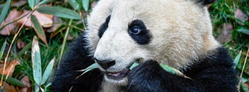 5 junio Día Mundial del Medio Ambiente