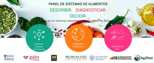La FAO, GAIN y la Universidad Johns Hopkins lanzan una nueva herramienta en línea para facilitar mejores políticas alimentarias