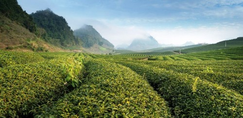 Asegurando un medio ambiente sostenible y aumentando la resiliencia al cambio climático