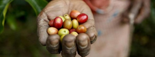 18 de junio Día de la Gastronomía Sostenible