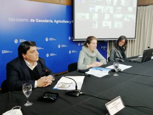 Nueva convocatoria del MGAP a grupos de mujeres rurales aportará hasta 2 mil dólares para cada mujer participante