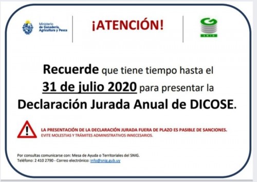 El 31 de julio vencerá el plazo para la declaración jurada de Dicose