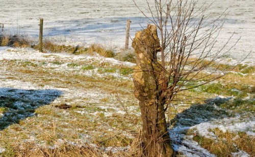 ¿Nieve en Uruguay en los próximos días?