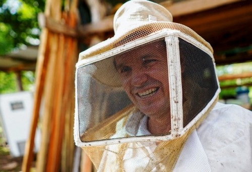 Dulces sueños hechos de abejas