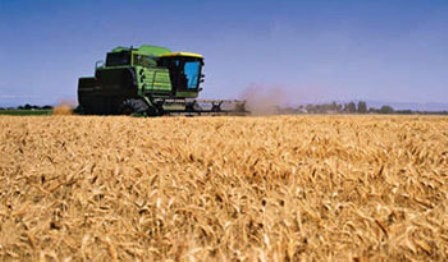 Gabinete Nacional de Bioseguridad autorizó solicitudes de ensayos en campo y producción de semillas para la exportación