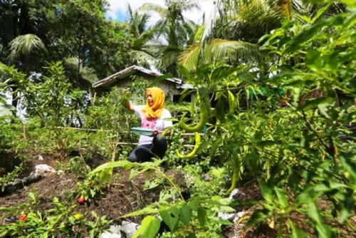 Adelantarse a las crisis para ayudar a las comunidades agrícolas de Filipinas