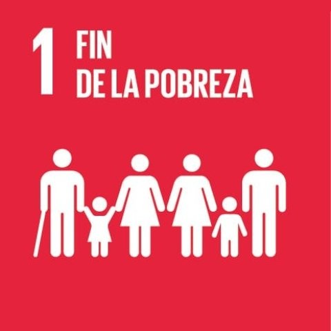 17 formas que pasan desapercibidas en las que los refugiados están liderando el desarrollo sostenible