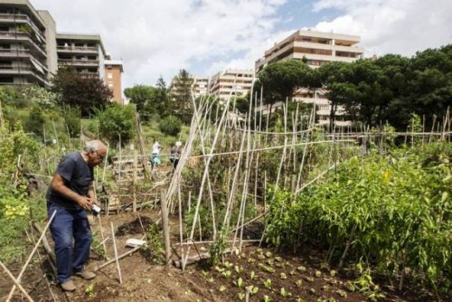 La FAO lanza la iniciativa “Ciudades verdes” 