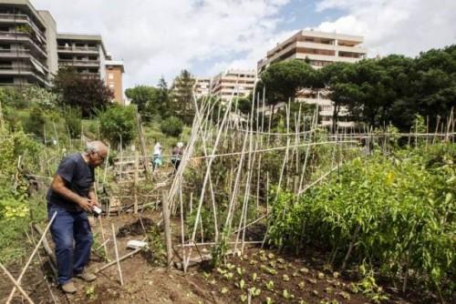 La FAO lanza la iniciativa “Ciudades verdes”