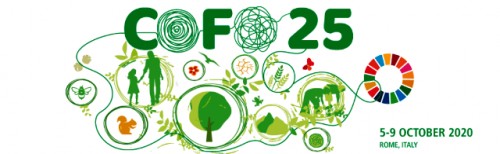 El Comité Forestal (COFO) es el máximo órgano estatutario forestal de la FAO