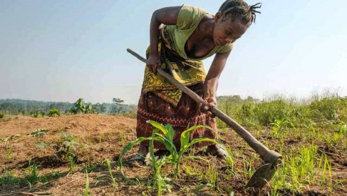Un mejor futuro del trabajo significa construirlo verde