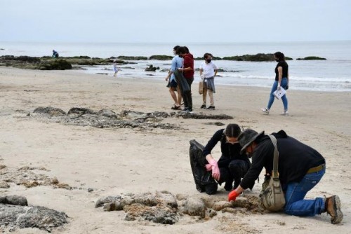 Limpieza de playas: la costa nos necesita y los uruguayos respondemos