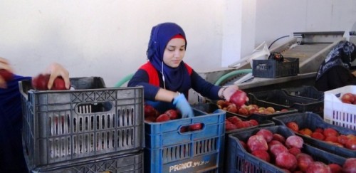 Vinculación de los pequeños productores con los mercados del Líbano