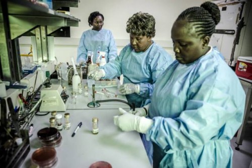 Las infecciones resistentes a los medicamentos amenazan con convertirse en la próxima pandemia