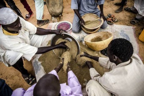 Las agencias alimentarias de la ONU advierten sobre niveles crecientes de hambre aguda con riesgo potencial de hambruna en cuatro puntos críticos